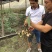 新品种黄精种苗欢迎来公司学习交流，量大优惠