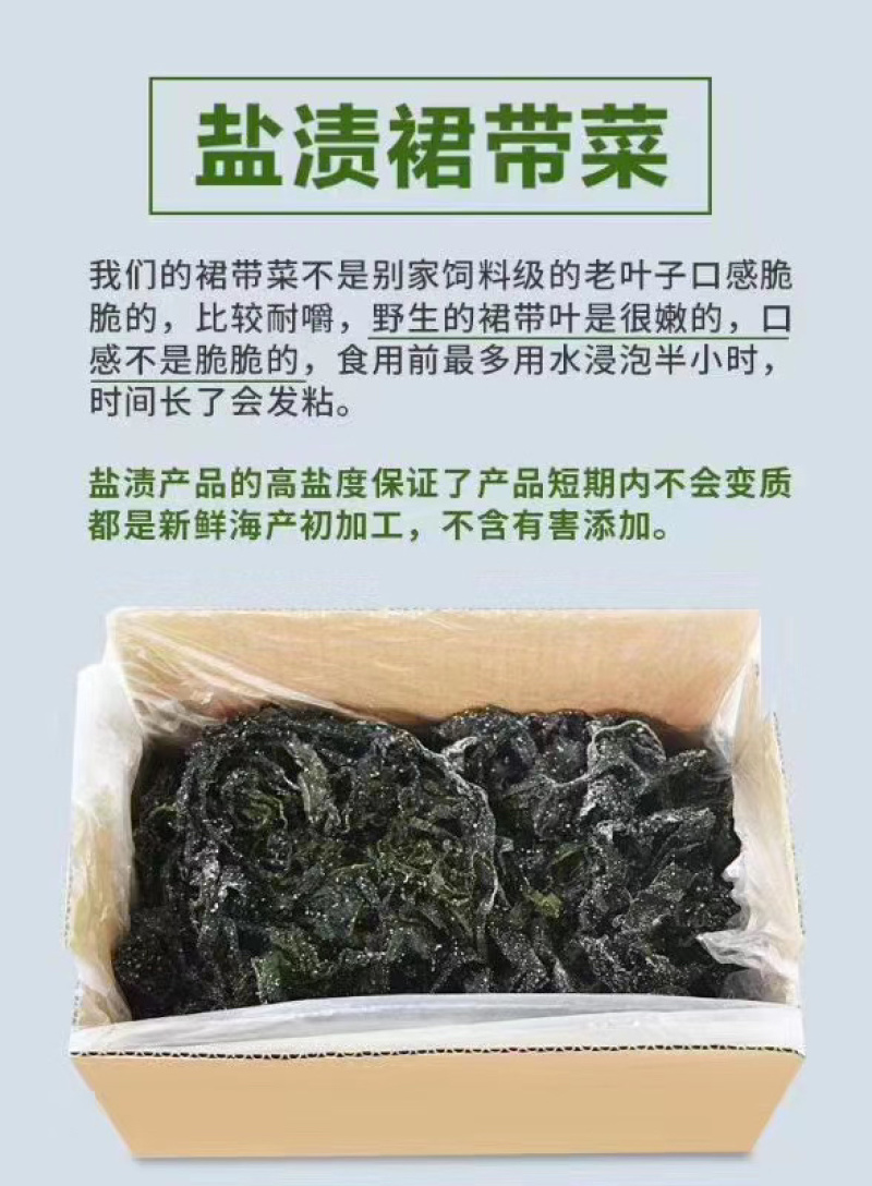 盐泽裙带菜海藻凉菜餐饮必备长期供应
