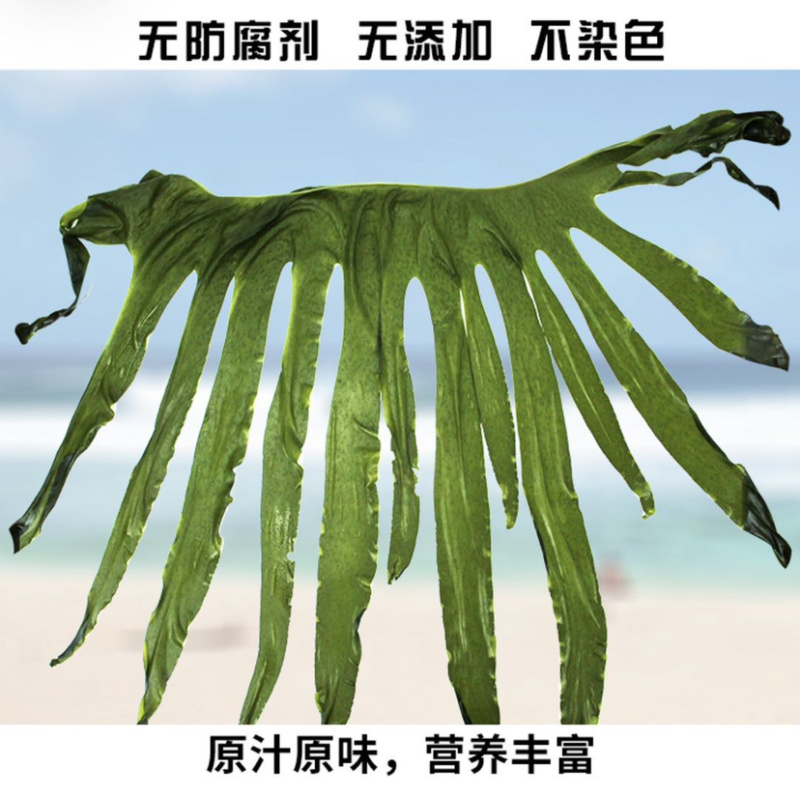 盐泽裙带菜海藻凉菜餐饮必备长期供应