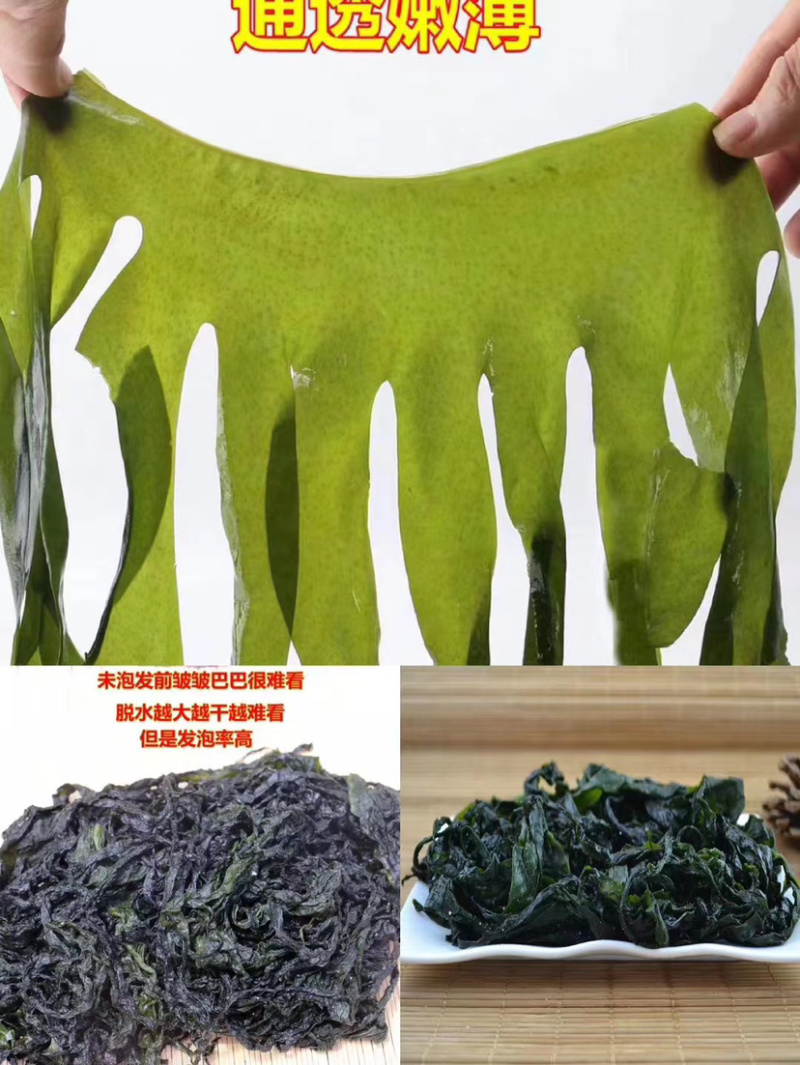 盐泽裙带菜海藻凉菜餐饮必备长期供应