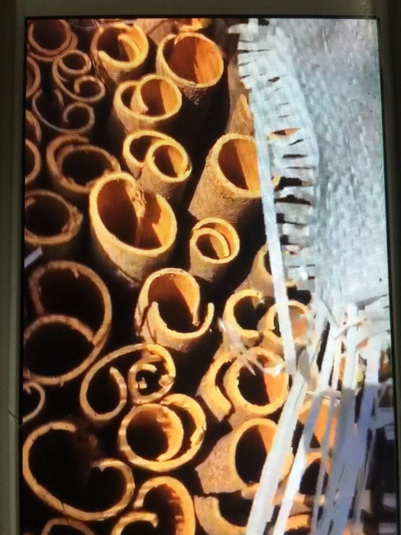广西桂皮肉桂玉桂大桂通中通广西发货