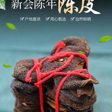 新会陈皮核心区天马村广东新会陈皮村大货批发招代理