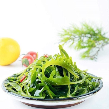 睫毛菜净重20斤一级品质全是嫩芽裙带菜工厂直销厂家