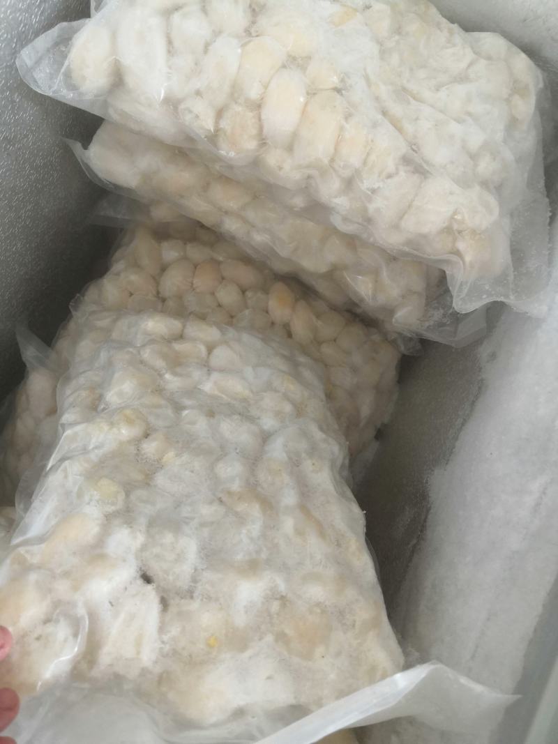 好吃的乌龟蛋，经过加工处理的，只需要去冰就好，省事方便。