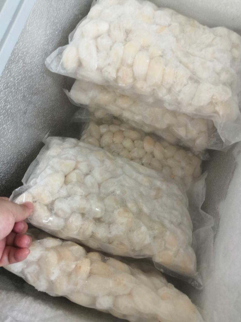 好吃的乌龟蛋，经过加工处理的，只需要去冰就好，省事方便。