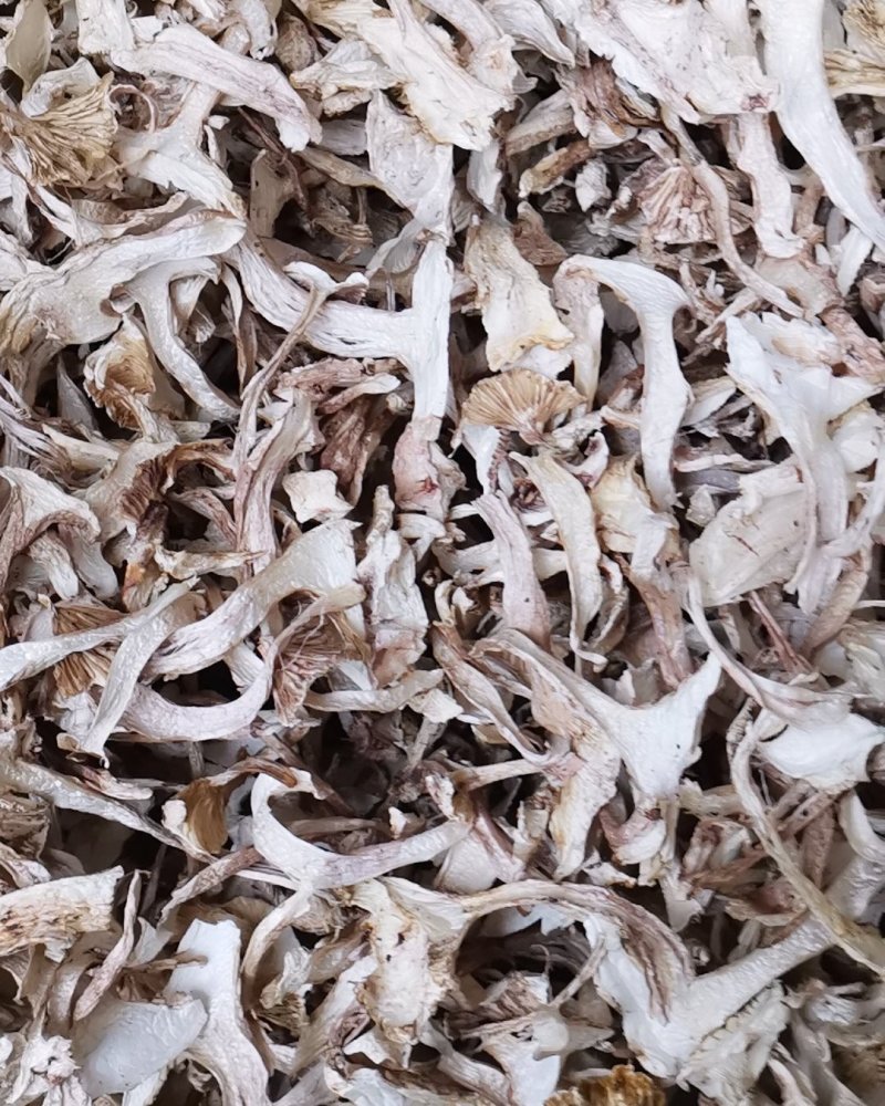 云南特产带皮青杆菌剥皮青杆菌老家产地货源大量批发供应