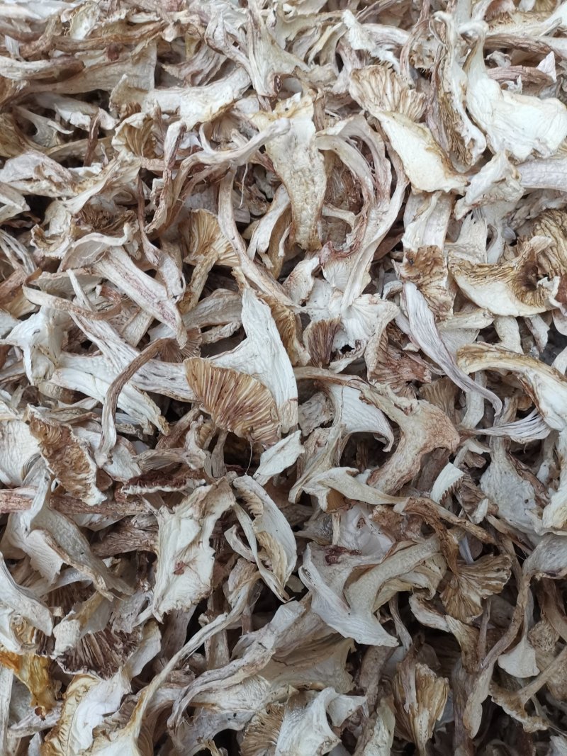 云南特产带皮青杆菌剥皮青杆菌老家产地货源大量批发供应