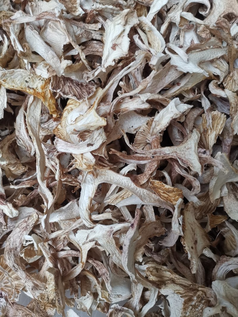 云南特产带皮青杆菌剥皮青杆菌老家产地货源大量批发供应