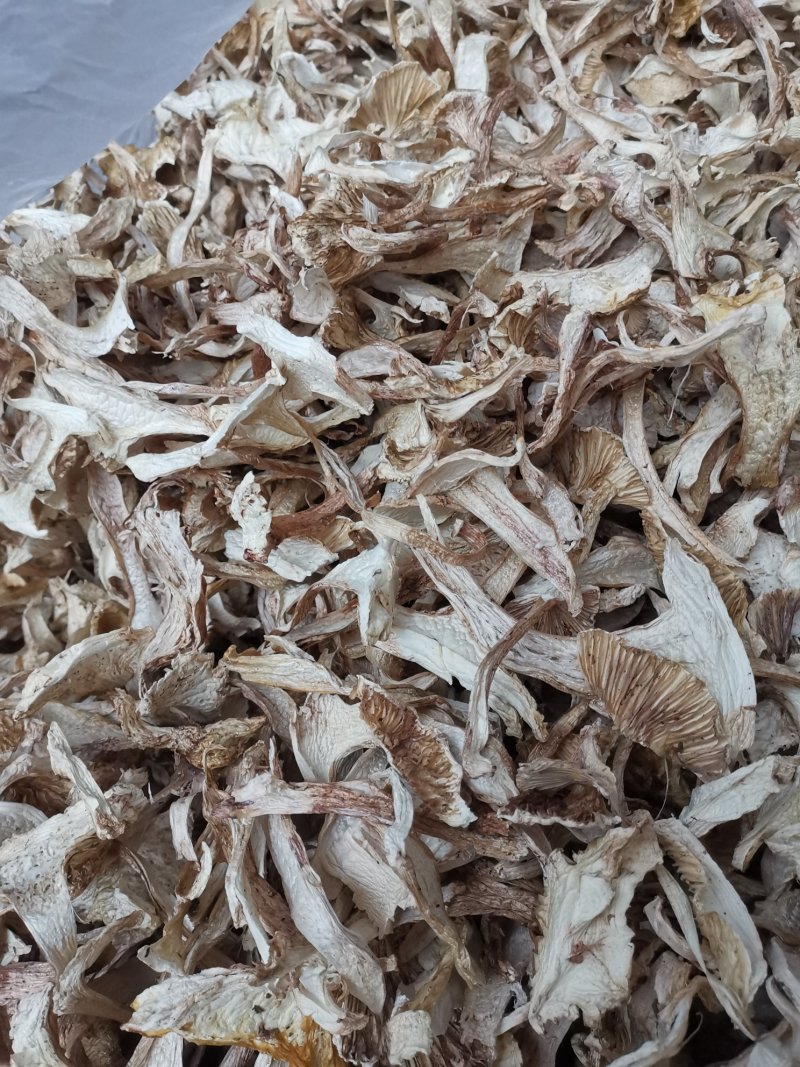 云南特产带皮青杆菌剥皮青杆菌老家产地货源大量批发供应