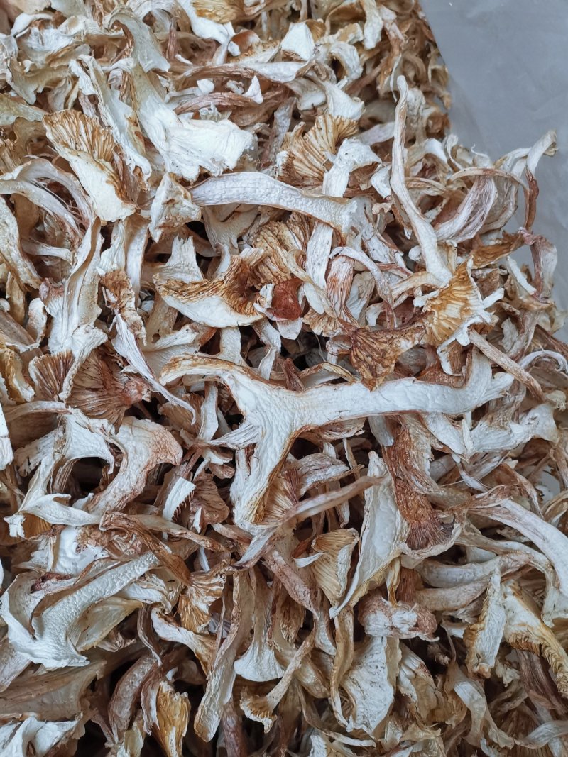云南特产带皮青杆菌剥皮青杆菌老家产地货源大量批发供应