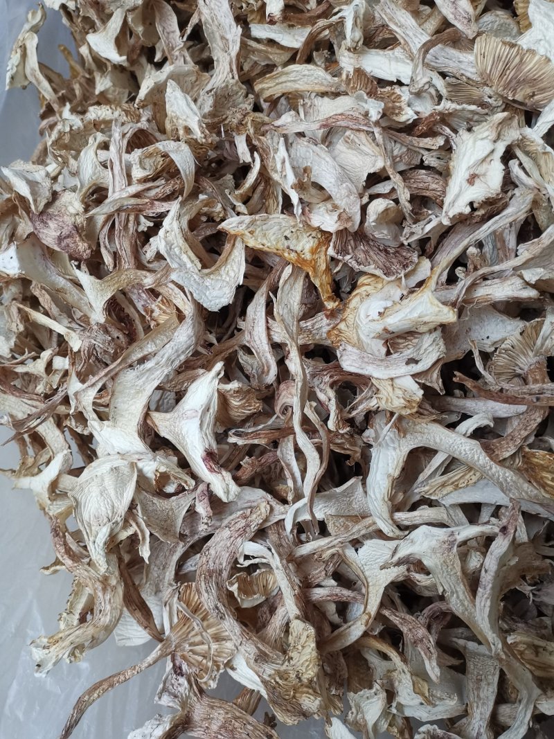 云南特产带皮青杆菌剥皮青杆菌老家产地货源大量批发供应