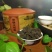 普洱茶【清明上河图】碎银子茶叶