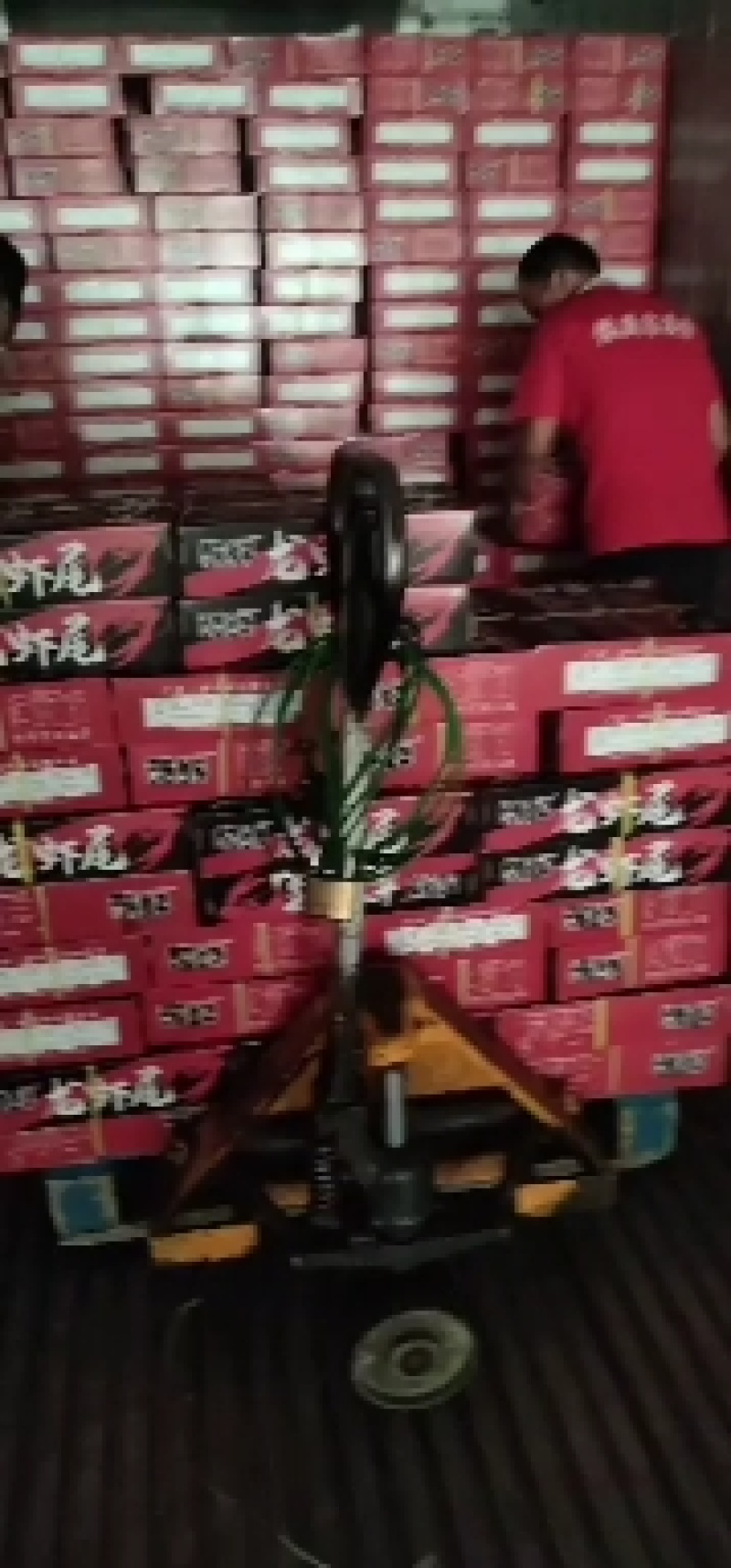 酷鲜龙虾尾，特级，虾尾