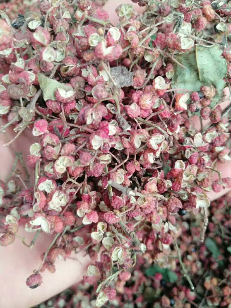 大面积鲜花椒，量还可以，品种多，欢迎收购