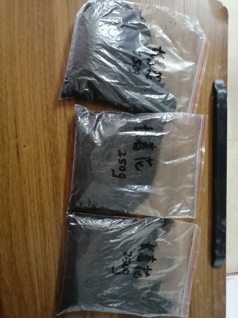 长春花种子适用绿化，边坡护道，家庭庭院