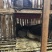 精品乳鸽，淘汰老鸽活体批发。原养殖基地直供……