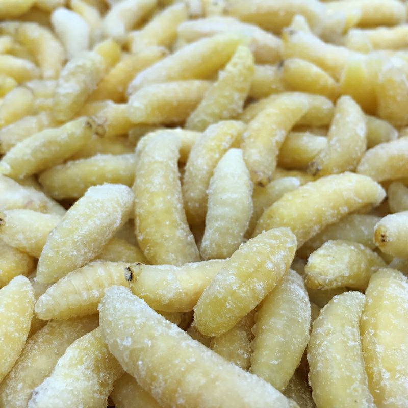 野生蜂蛹，高蛋白蜂蛹，马蜂蛹，胡蜂蛹一件代发品质保证