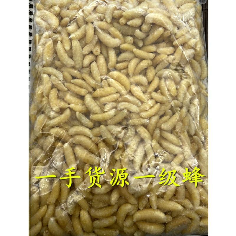 野生蜂蛹，高蛋白蜂蛹，马蜂蛹，胡蜂蛹一件代发品质保证
