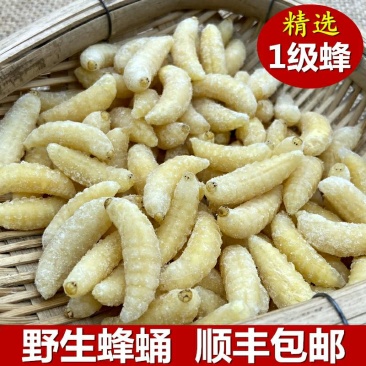 野生蜂蛹，高蛋白蜂蛹，马蜂蛹，胡蜂蛹一件代发品质保证