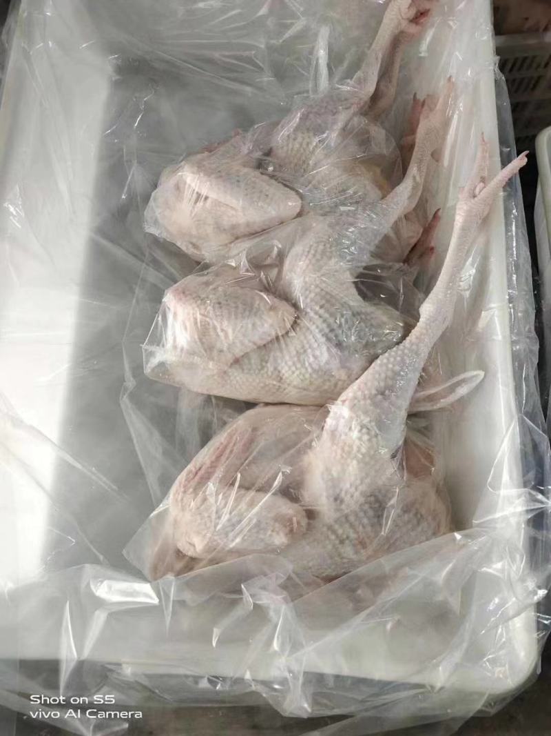 白条鸡，清真专供，冷链物流