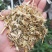 优质精选厂家直供豌豆秧豌豆荚饲料适合牛羊马驴饲养的好草料