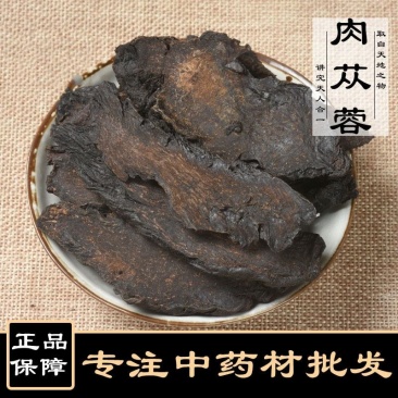 肉苁蓉新疆肉苁蓉、大芸规格齐全可供大货批发零售
