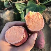 2021年红薯龙九红薯西瓜红黄心红心薯一件5斤10斤
