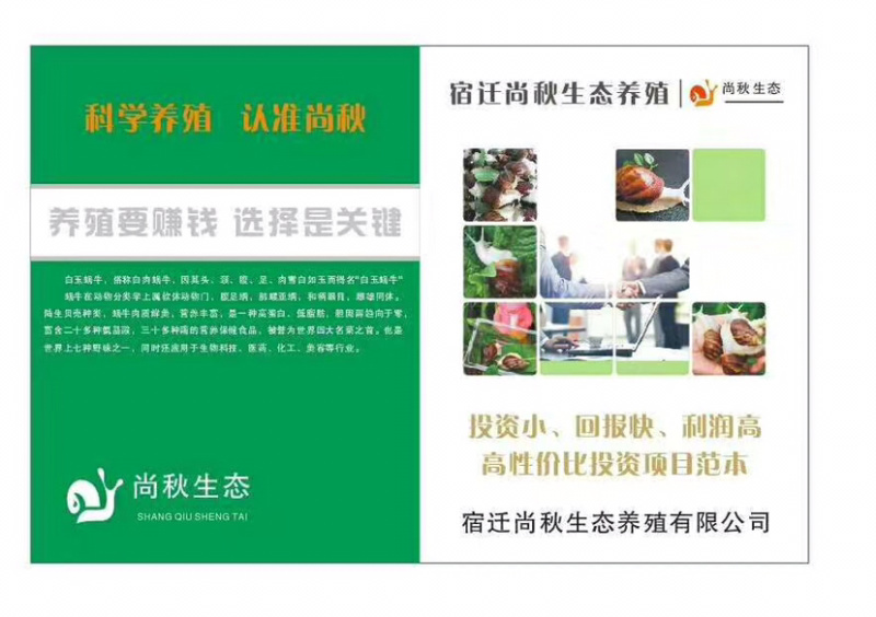 种蜗牛🐌，基地直销，常年供应，量大从优，包回收！