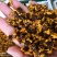 新疆雪菊干净无杂质量大从优经营各种干花