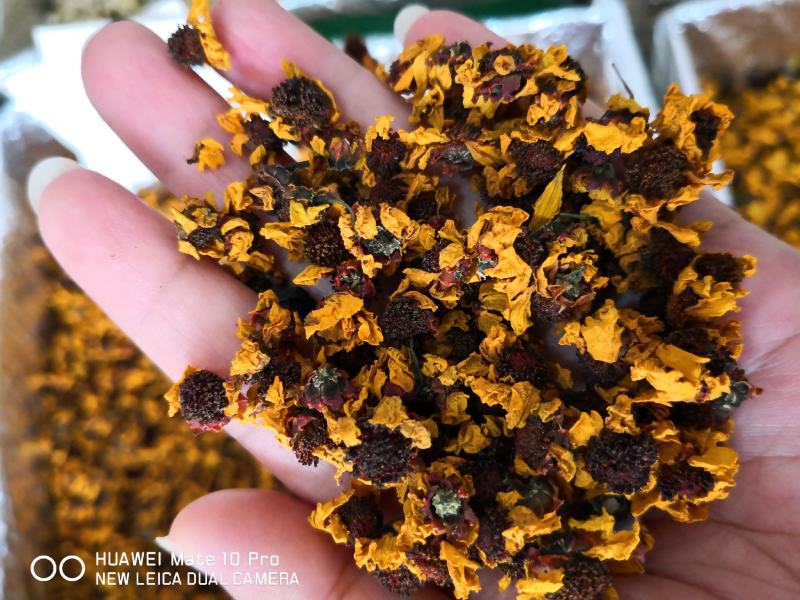 新疆雪菊干净无杂质量大从优经营各种干花