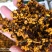 新疆雪菊干净无杂质量大从优经营各种干花