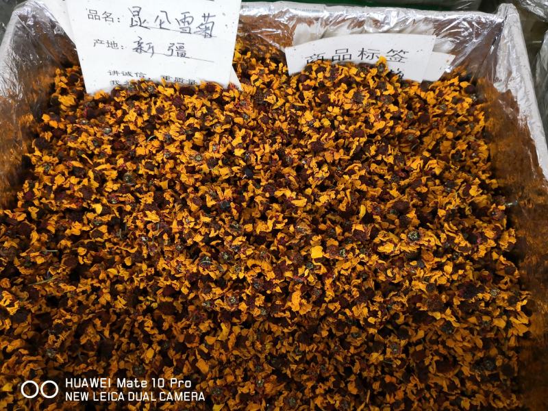 新疆雪菊干净无杂质量大从优经营各种干花