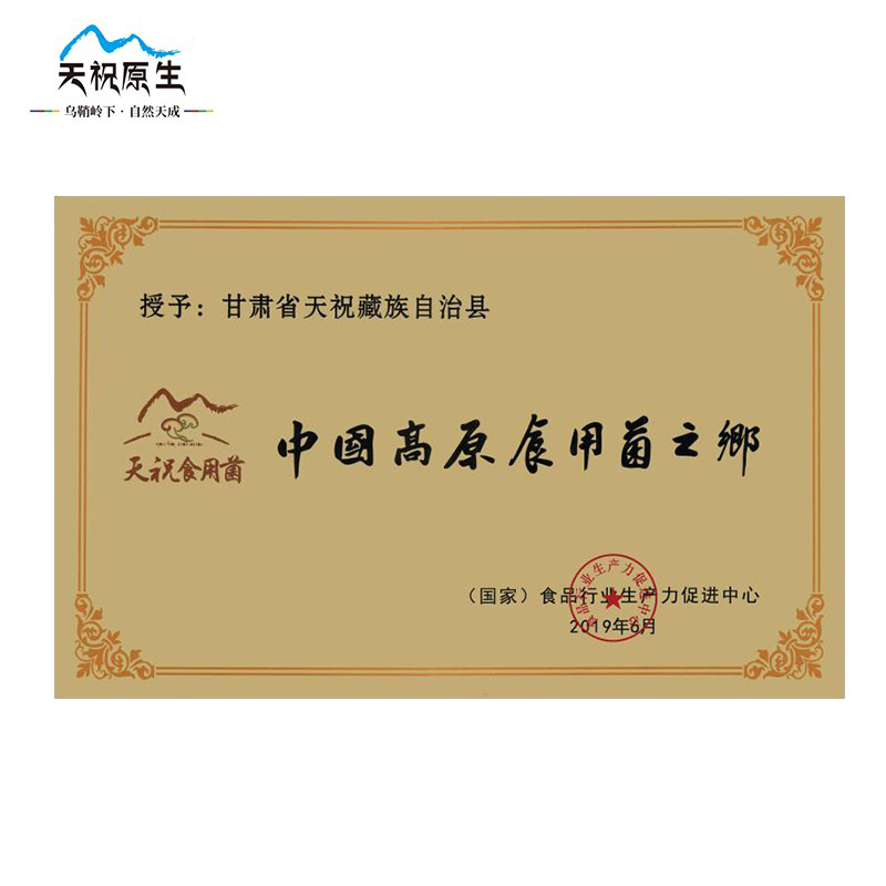 天祝原生羊肚菌150g高原干货野生新鲜营养食用菌煲汤食材