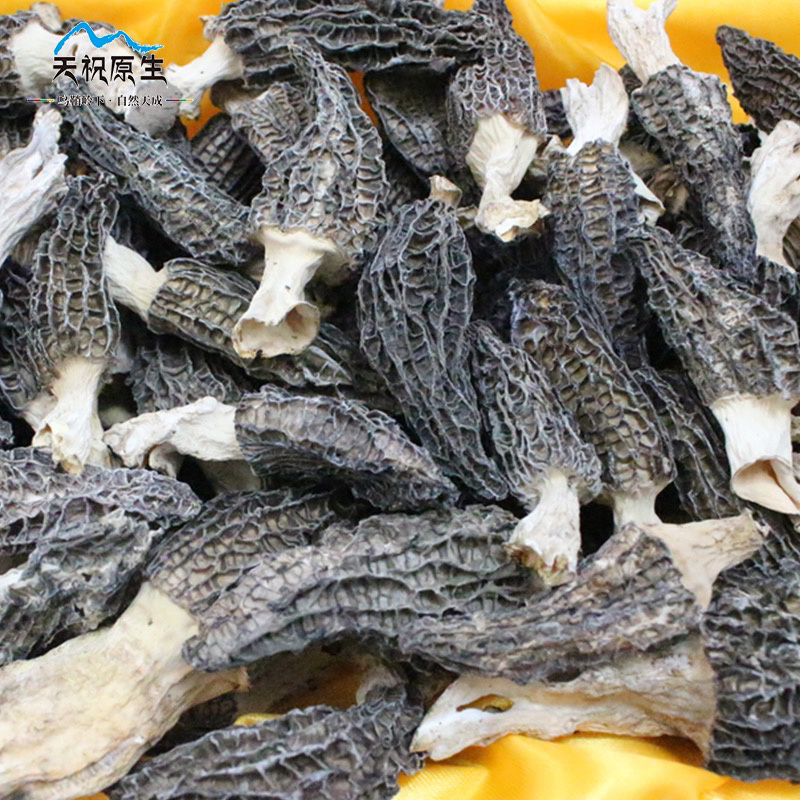 天祝原生羊肚菌150g高原干货野生新鲜营养食用菌煲汤食材