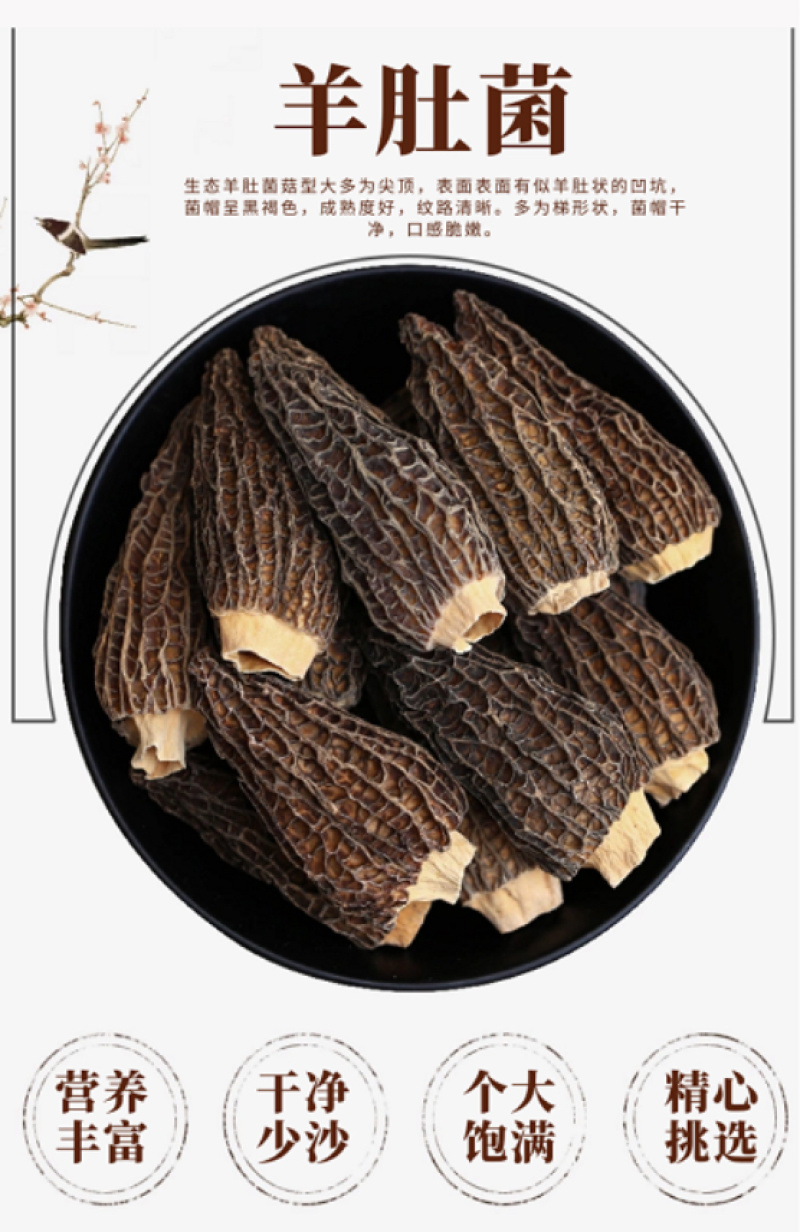 天祝原生羊肚菌150g高原干货野生新鲜营养食用菌煲汤食材