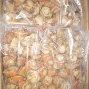 长岛原汁扇贝肉40/60净重10斤有量欢迎来谈