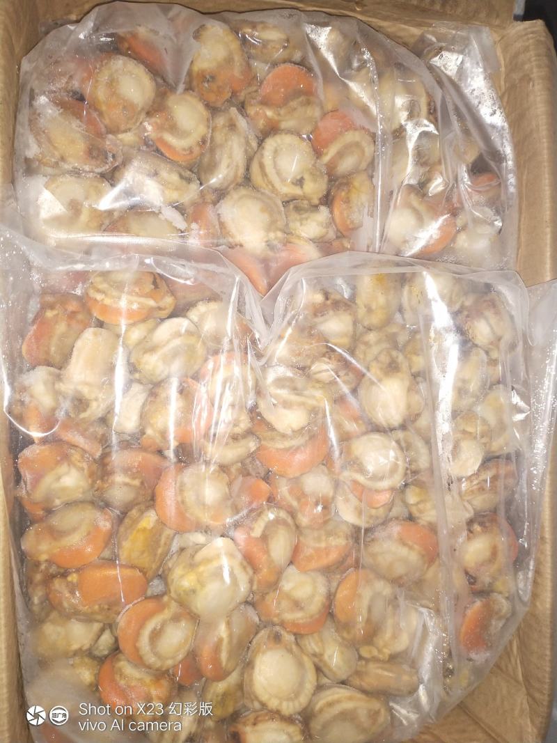 长岛原汁扇贝肉40/60净重10斤有量欢迎来谈