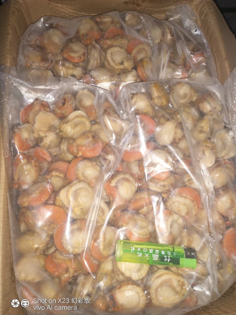 长岛原汁扇贝肉40/60净重10斤有量欢迎来谈