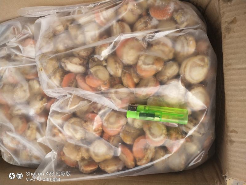长岛原汁扇贝肉40/60净重10斤有量欢迎来谈