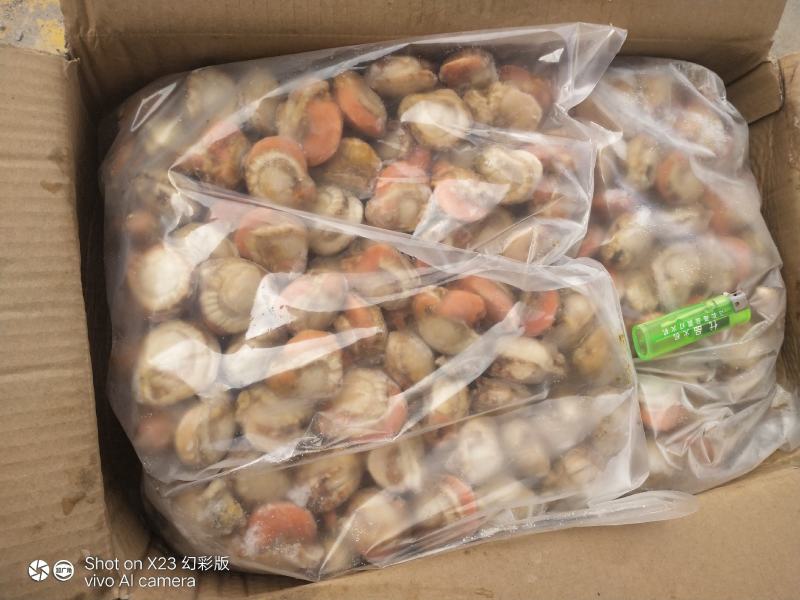 长岛原汁扇贝肉40/60净重10斤有量欢迎来谈