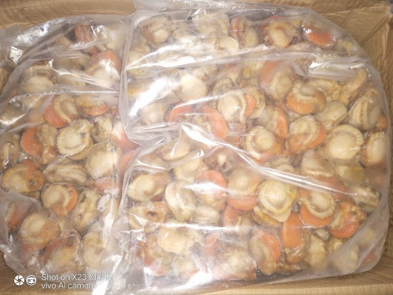 长岛原汁扇贝肉40/60净重10斤有量欢迎来谈