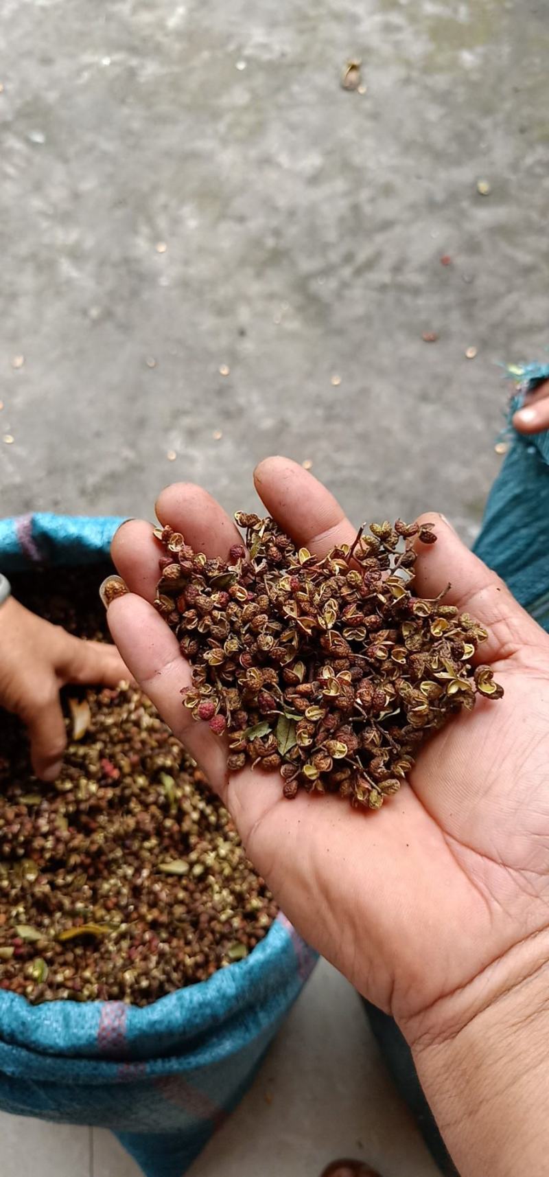 云南干花椒，青红都垮价了
