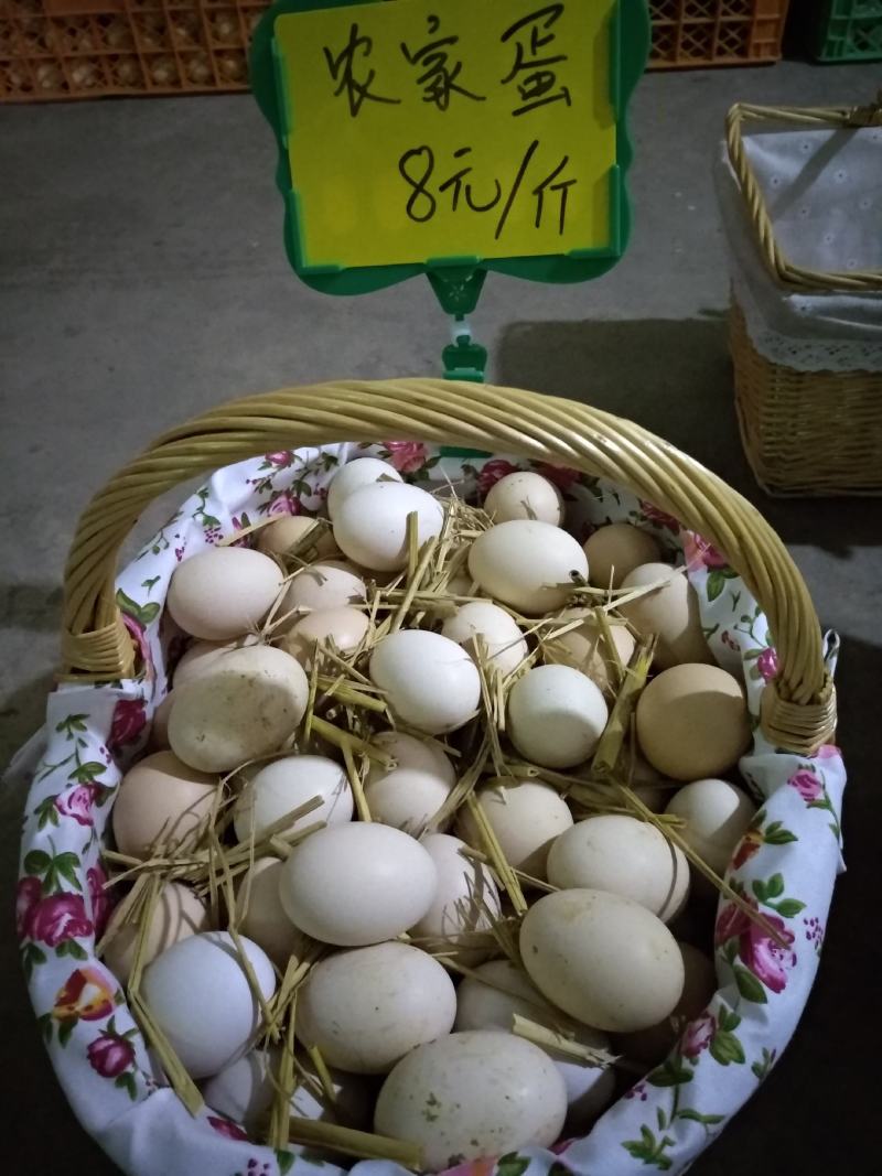 双黄笨鸡蛋