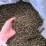 产地货源重庆江津青花椒新货麻椒藤椒特青特麻特香大量批发