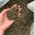 产地货源重庆江津青花椒新货麻椒藤椒特青特麻特香大量批发
