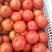 【商超品质】西红柿，弧二以上，千亩基地，货源充足