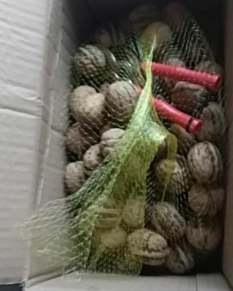 脱皮鲜核桃5斤包邮35元，产地直供！