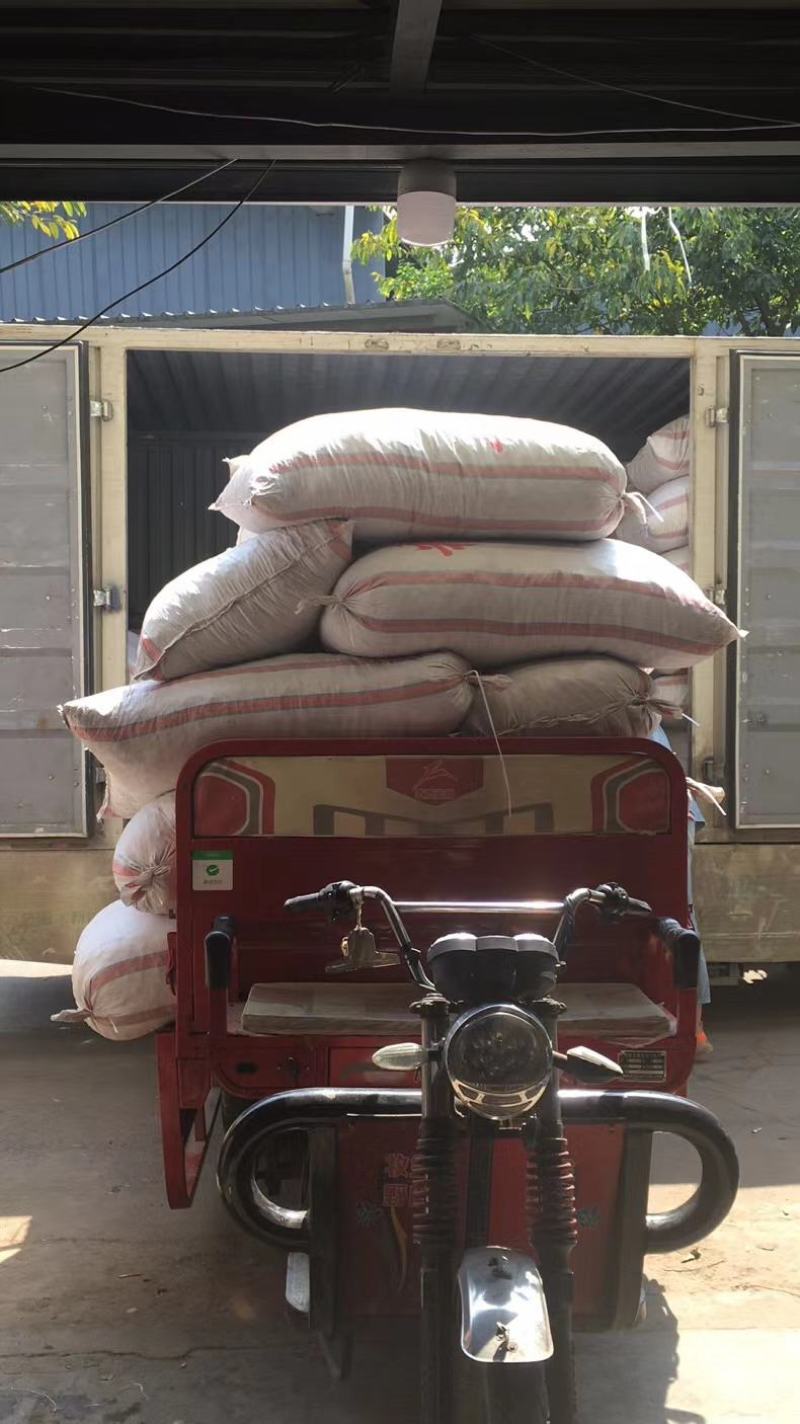 农家黑木耳脆木耳1斤大木耳毛木耳农家头茬白背木耳肉厚