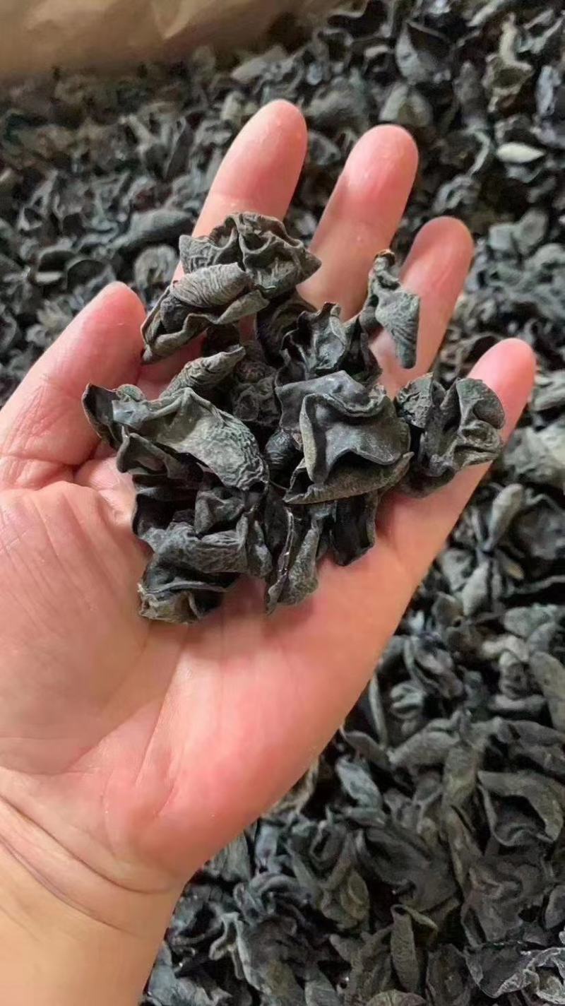 农家黑木耳脆木耳1斤大木耳毛木耳农家头茬白背木耳肉厚