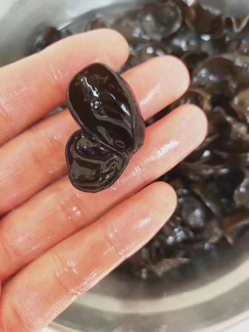 农家黑木耳脆木耳1斤大木耳毛木耳农家头茬白背木耳肉厚